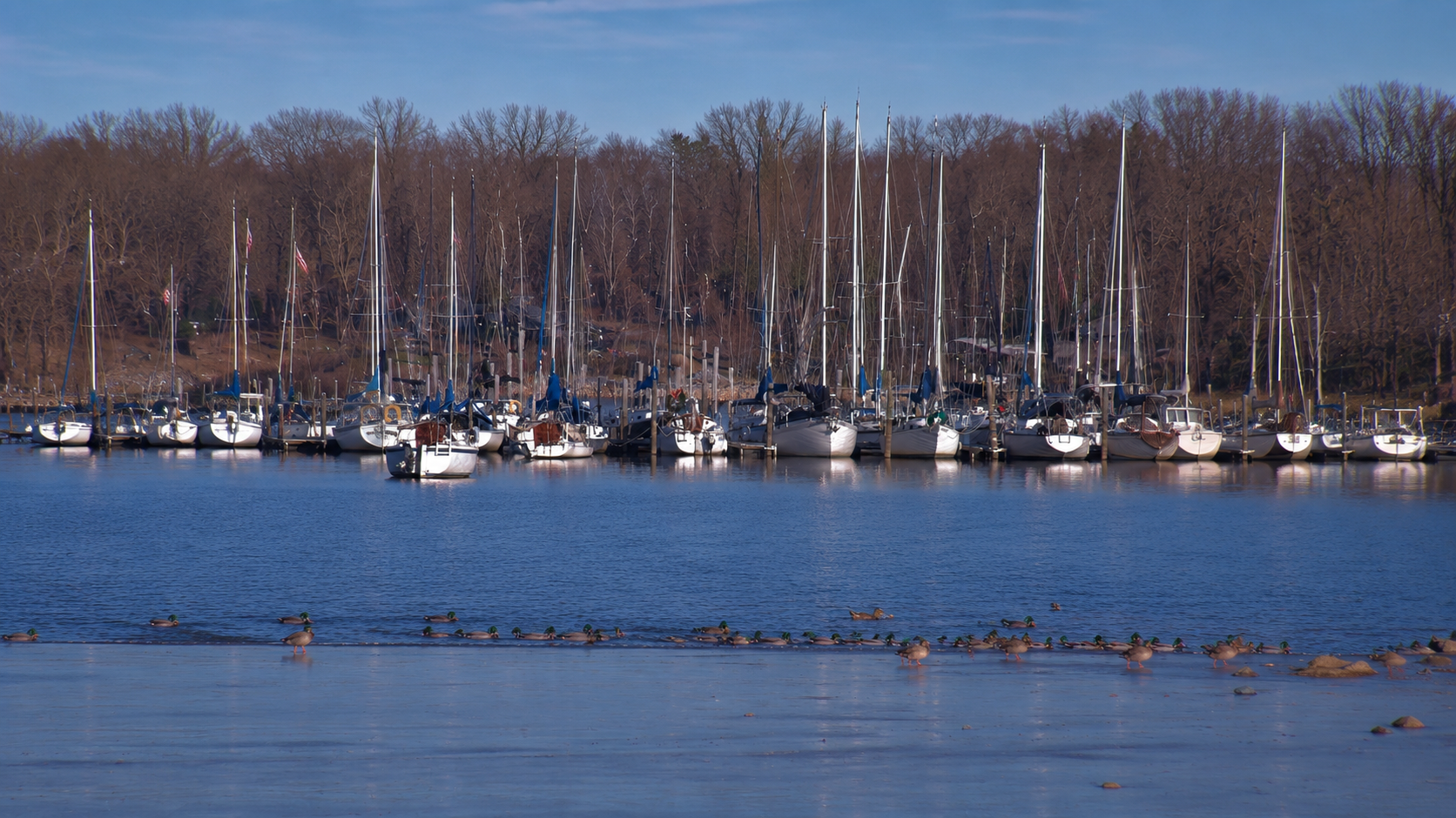 Parkinfarragut, TN
